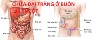 Chữa đại tràng ở Buôn Ma Thuột